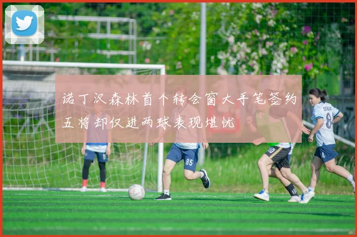 诺丁汉森林首个转会窗大手笔签约五将却仅进两球表现堪忧