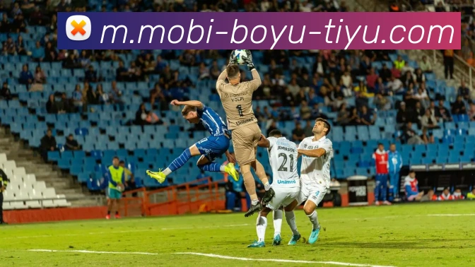 博鱼体育APP 封面图